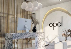 opal studio beginner pilates classes Los Angeles